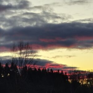 Meet your Posher, Cameron